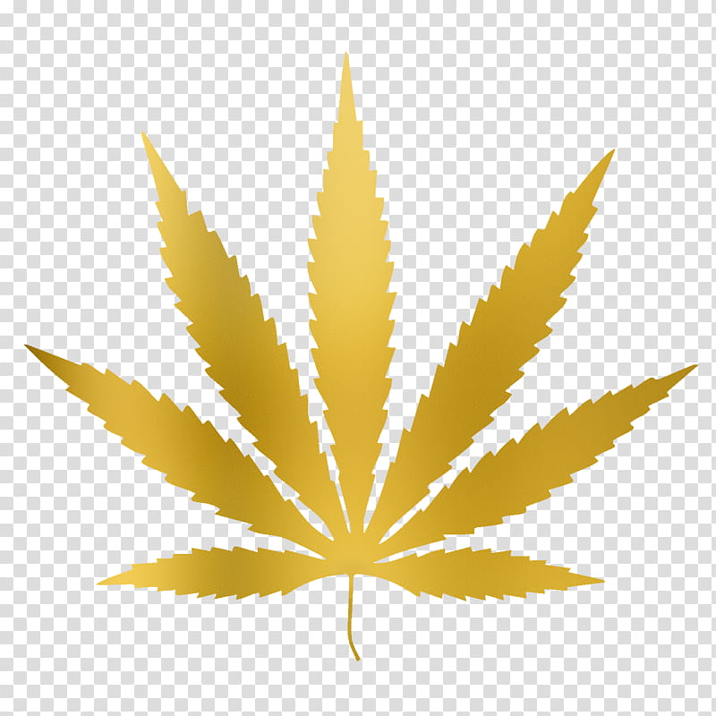 Family Tree, Cannabis, Cannabis Sativa, Medical Cannabis, Cannabis Smoking, Weed The People, Leaf, Desktop transparent background PNG clipart