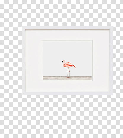 frame , pink flamingo painting with white frame transparent background PNG clipart