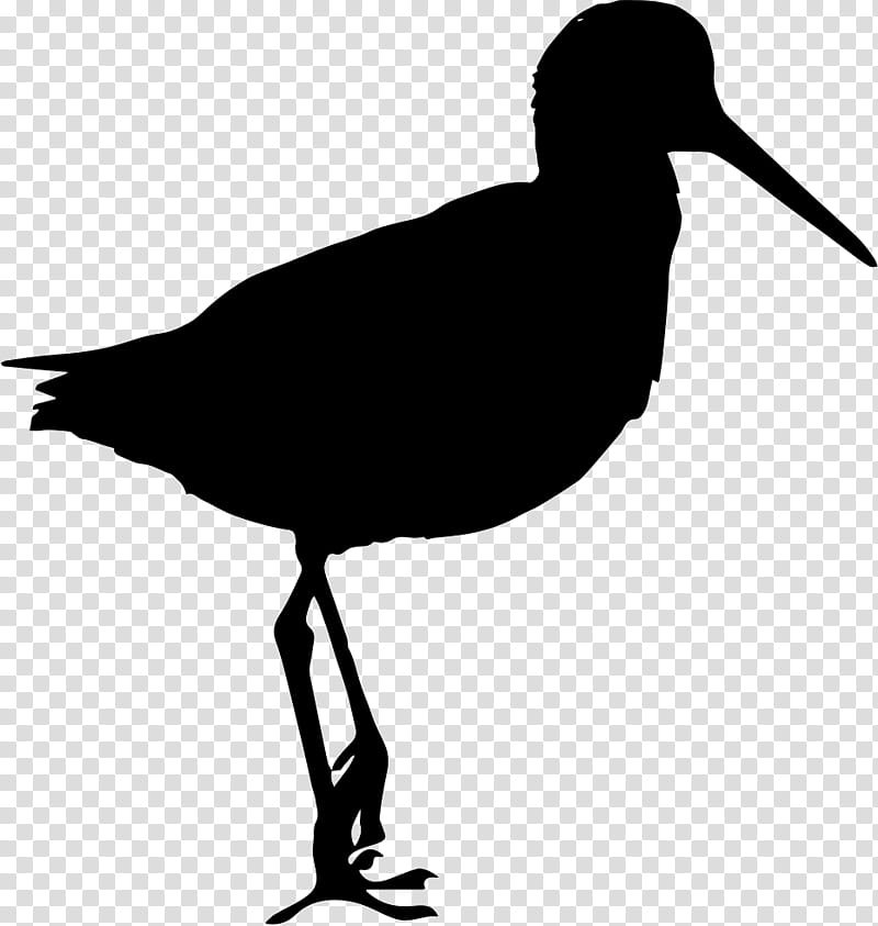 Bird Silhouette, Sandpiper, Animal Silhouettes, Drawing, Beak, Black And White
, Shorebird, Water Bird transparent background PNG clipart