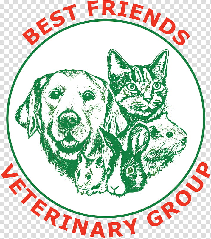 Dog And Cat, Best Friends, Veterinarian, Broadway Veterinary Hospital, Veterinary Medicine, Pet, Neutering, Surgery transparent background PNG clipart