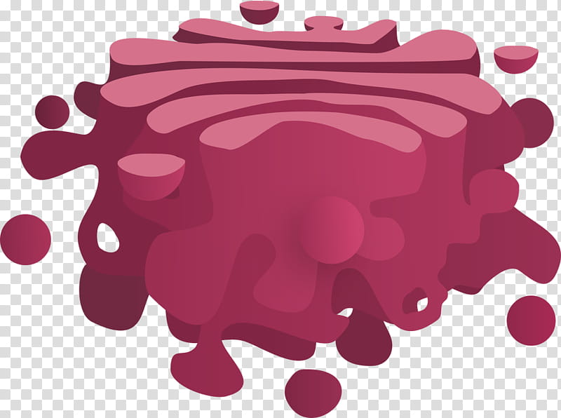 Red Circle, Golgi Apparatus, Cell, Organelle, Cell Membrane, Endomembrane System, Cisterna, Endoplasmic Reticulum transparent background PNG clipart