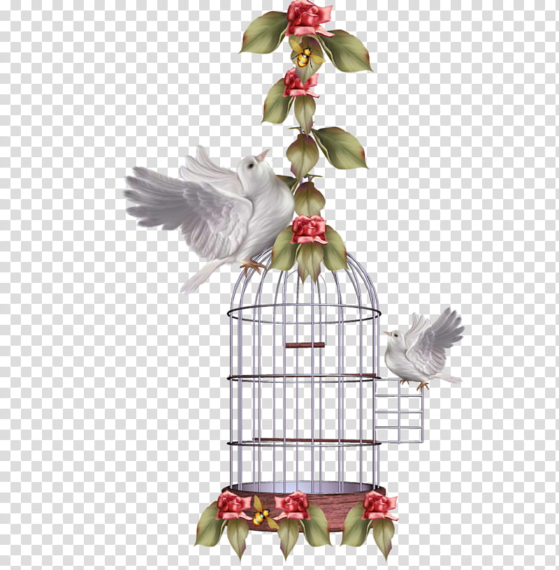 Flowers, Bird, Cage, Birdcage, Pigeons And Doves, Parrot, Lovebird, Nest transparent background PNG clipart