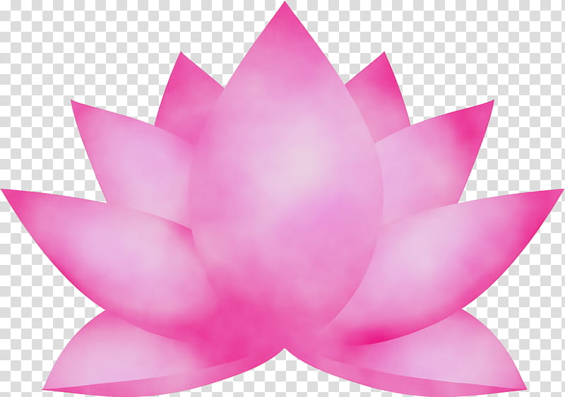 Lotus, Flower, Watercolor, Paint, Wet Ink, Lotus Family, Petal, Pink transparent background PNG clipart