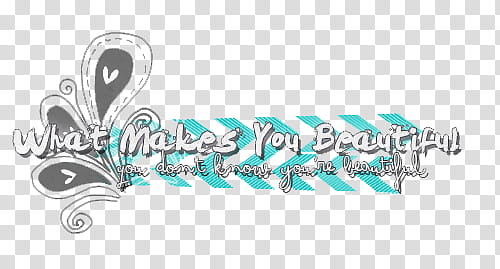 Textos one direction, gray and white what makes you beautiful text illustration transparent background PNG clipart