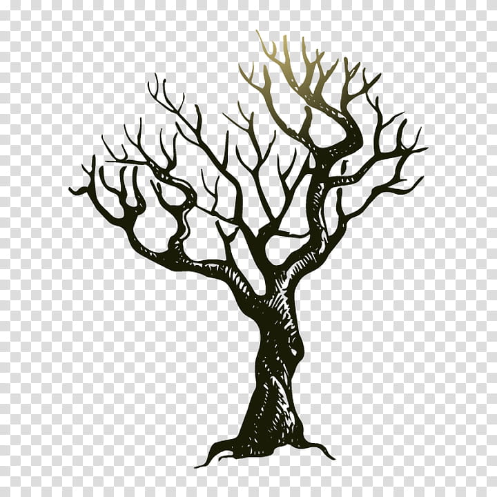 Halloween Tree Branch, Drawing, Halloween , Poster, Halloween Iii Season Of The Witch, Woody Plant, Leaf, Twig transparent background PNG clipart
