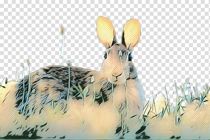 Watercolor, Hare, Rabbit, Snout, Mountain Cottontail, Rabbits And Hares, Audubons Cottontail, Wildlife transparent background PNG clipart