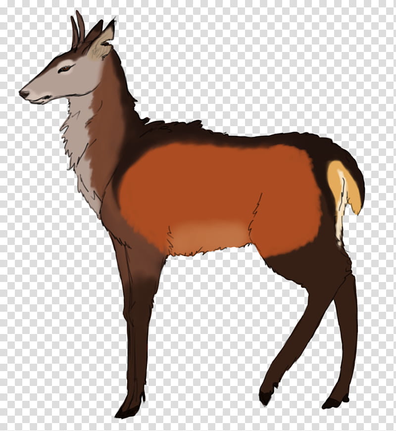 Animal, Mustang, Deer, Pony, RED Fox, Antelope, Moschus, Camel transparent background PNG clipart