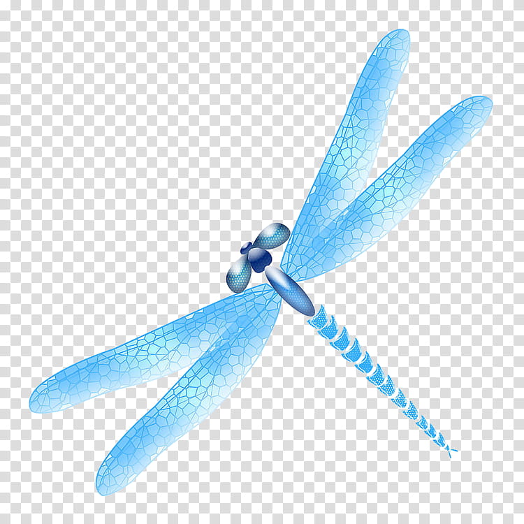 Color, Dragonfly, Insect, Blue, 2018, Propeller, Wing transparent background PNG clipart