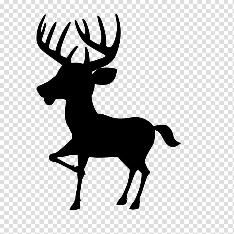 Squirrel, Deer, Whitetailed Deer, Moose, Cartoon, Bullwinkle J Moose, Drawing, Rocky The Flying Squirrel transparent background PNG clipart