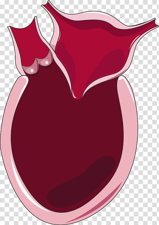 Health Heart, Diastolic Heart Failure, Systole, Diastole, Artery, Cardiology, Coronary Artery Bypass Surgery, Cardiovascular Disease transparent background PNG clipart
