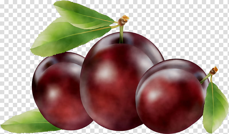 Cherry Tree, Gooseberry, Plum, Damson, Cherries, Food, Berries, Lingonberry transparent background PNG clipart