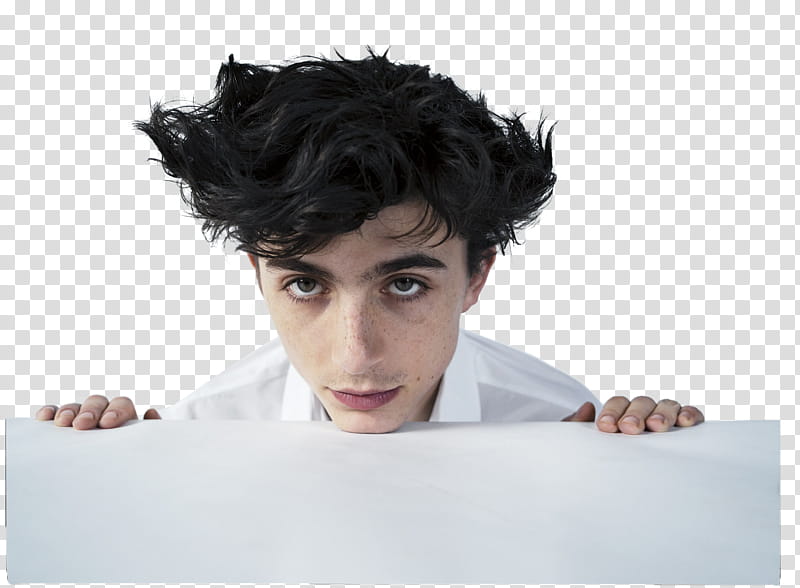 TIMOTHEE CHALAMET,  icon transparent background PNG clipart