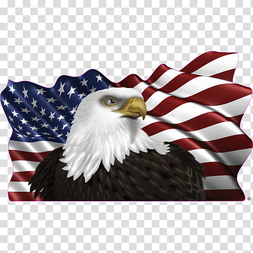 Eagle Bird, Car, United States Of America, Decal, Campervans, Semitrailer Truck, Sticker, Flag Of The United States transparent background PNG clipart