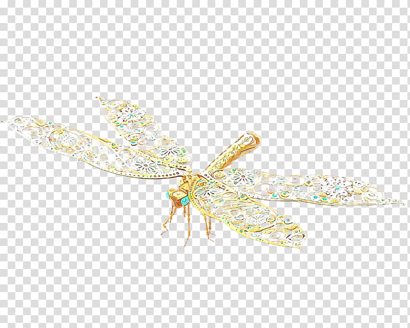 Dragonfly Insect, Membrane, Dragonflies And Damseflies, Yellow, Brooch, Membranewinged Insect, Pest transparent background PNG clipart