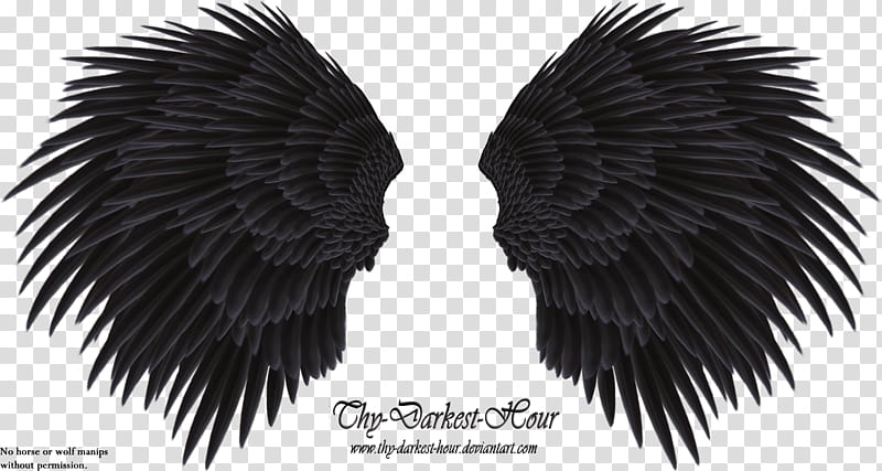 Black Angel Wing , Thy Darkest Hour transparent background PNG clipart
