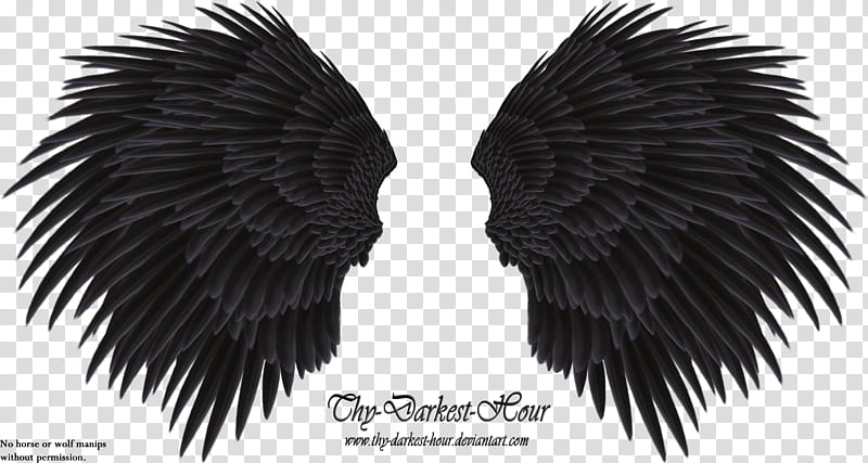 Black angel wings , black wings costume transparent background PNG clipart