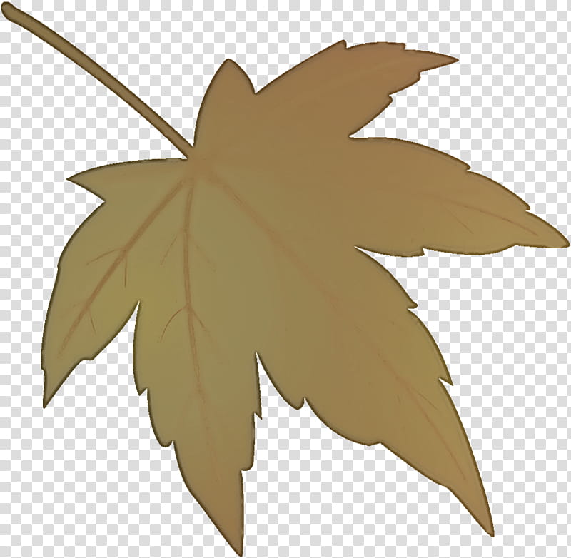 maple leaf fallen leaf dead leaf, Autumn Leaf, Tree, Plant, Woody Plant, Plane, Black Maple, Sweet Gum transparent background PNG clipart