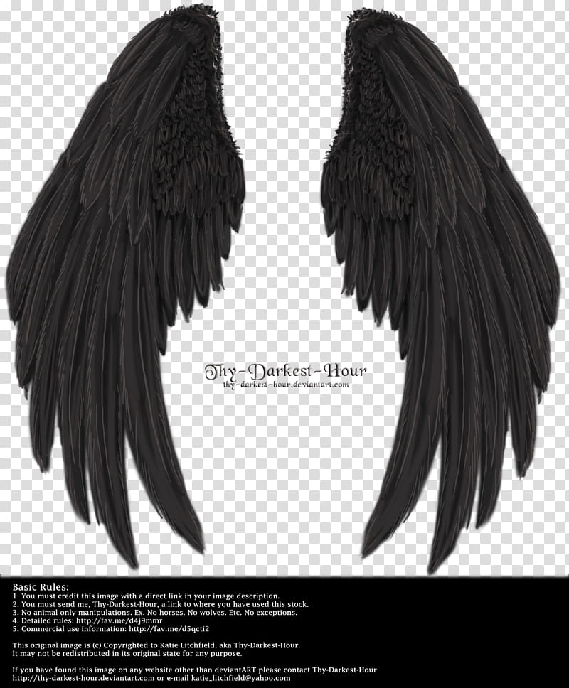 Winged Fantasy V  Black, black wings transparent background PNG clipart