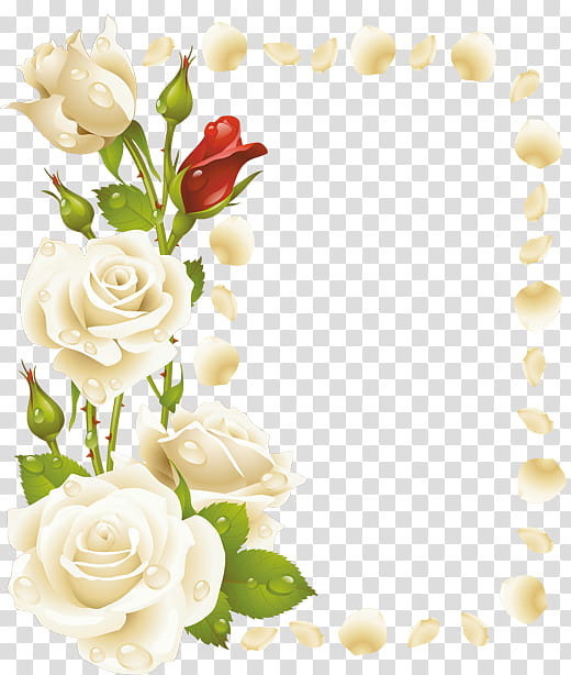 Rose Love Flowers, Morning, Greeting, Arabic Language, Birthday
, Wish, Text, Good transparent background PNG clipart