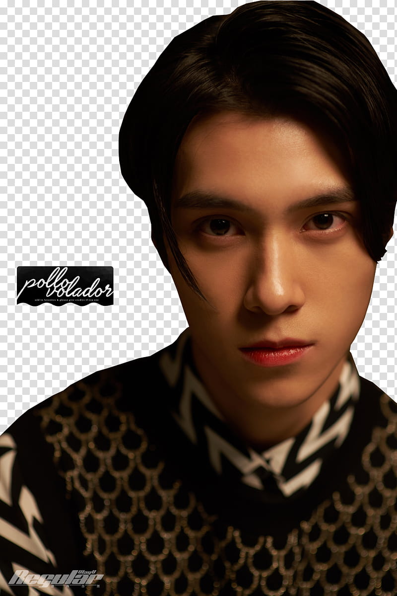 Hendery NCT WayV Regular, man wearing black and brown top transparent background PNG clipart