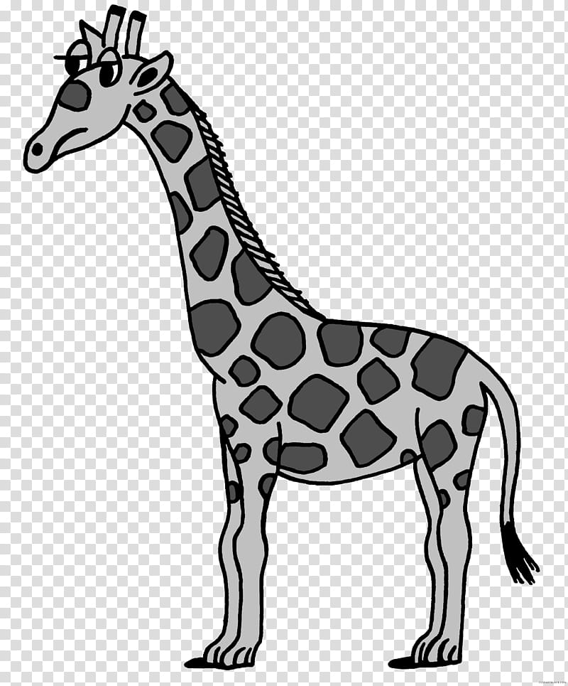 Watercolor Tree, Giraffe, Drawing, Fantasy Horse, Cartoon, Child, Watercolor Painting, Silhouette transparent background PNG clipart