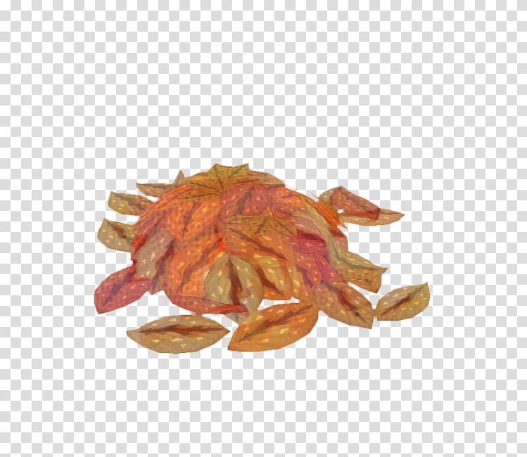 Plant Leaf, Decapods, Orange transparent background PNG clipart