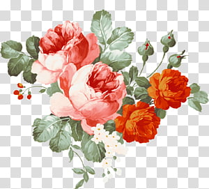 Flower transparent background PNG cliparts free download