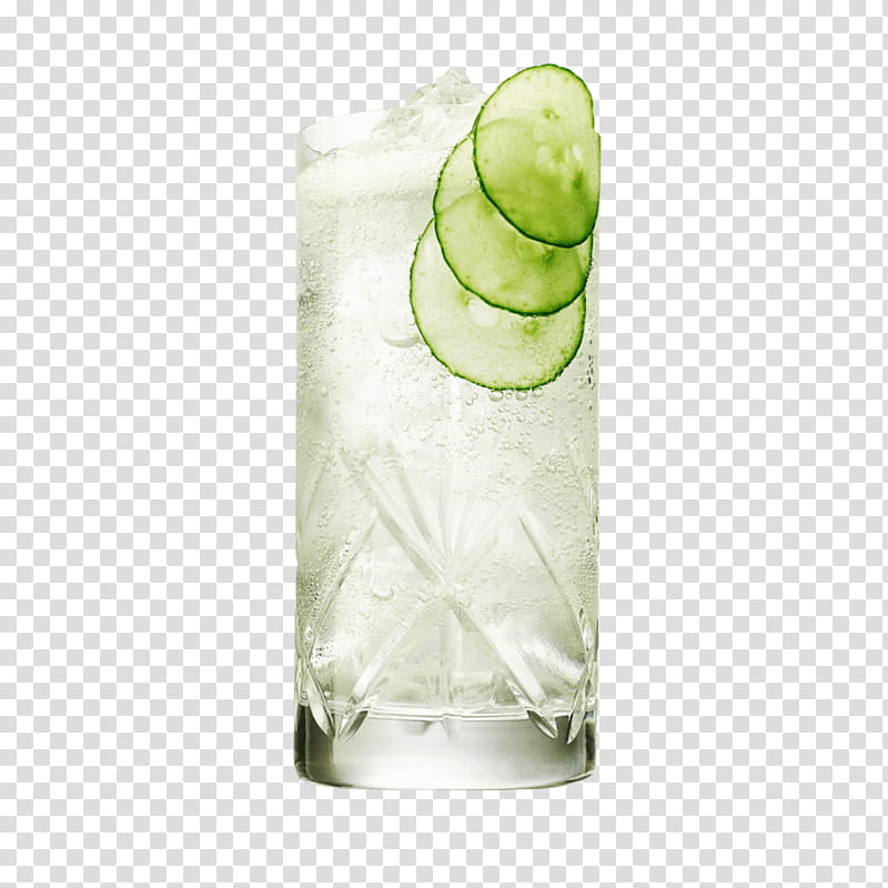London, Gin And Tonic, Tonic Water, Cocktail, Hendricks Gin, Highball, Liquor, Gin And Tonic Recipe transparent background PNG clipart
