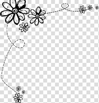 Delicate Lace Borders on Black and White Background