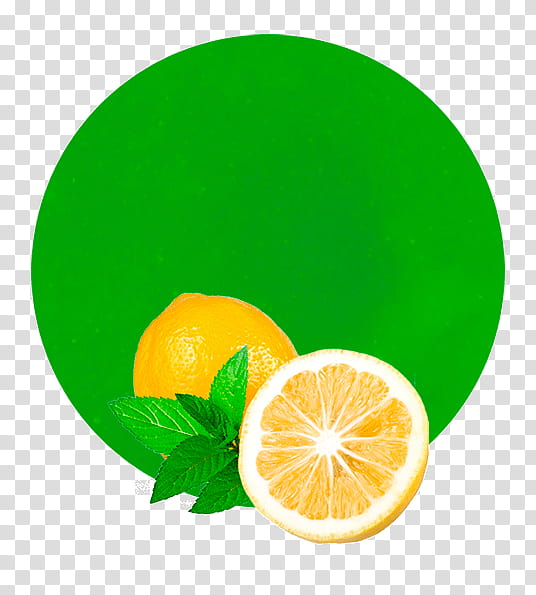 Green Leaf, Lemon, Juice, Concentrate, Lemonconcentrate, Citric Acid, Grapefruit Juice, Lime transparent background PNG clipart