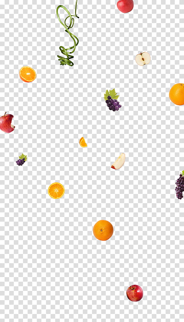 Fruit, Fruitarianism, Computer, Buavita, Concept, Orange, Petal transparent background PNG clipart