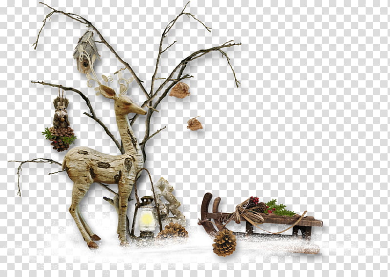 Christmas Winter, Twig, Wood, Winter Cluster, Blog, Christmas Day, Flower, Branch transparent background PNG clipart