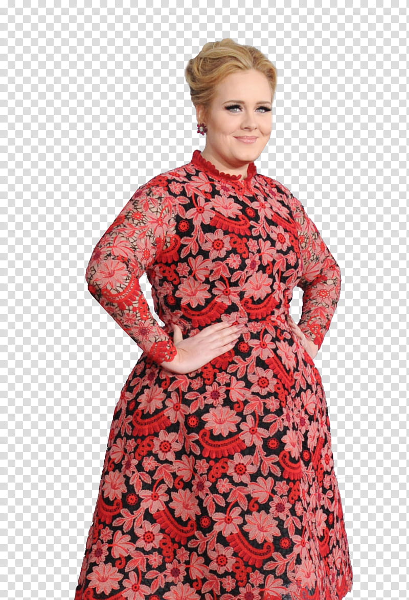 Adele SPAT transparent background PNG clipart