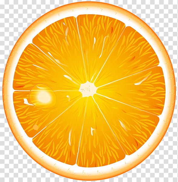 Lemon, Art Museum, Orange, Citrus, Yellow, Valencia Orange, Fruit, Citric Acid transparent background PNG clipart