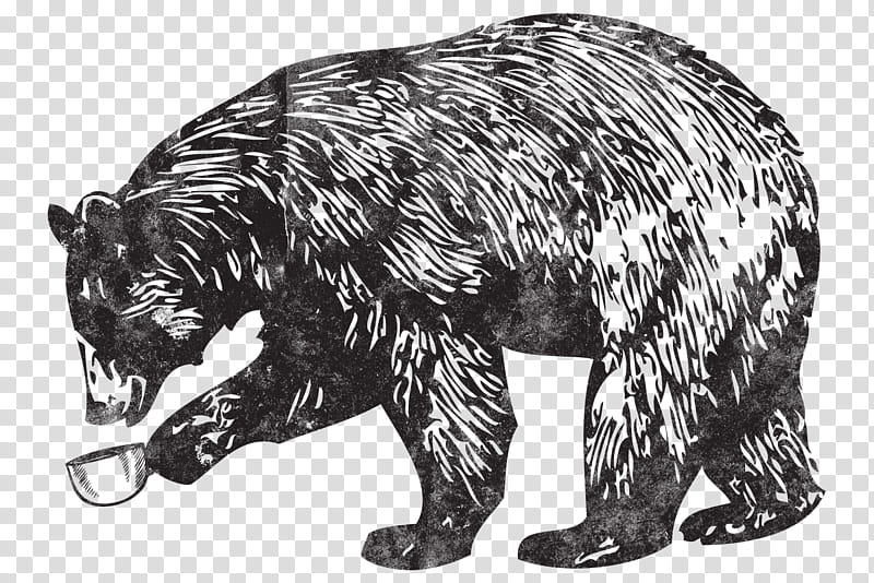 Cat Drawing, Grizzly Bear, American Black Bear, Coffee, Grizzly Bears, Pizzly, Animal, Cartoon transparent background PNG clipart