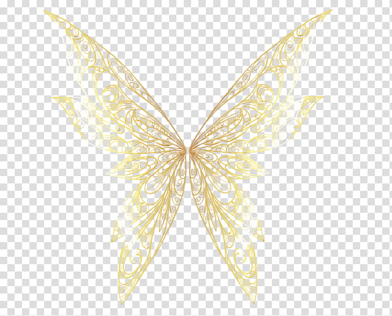 Watercolor Butterfly, Paint, Wet Ink, Moth, M Butterfly, White, Wing, Moths And Butterflies transparent background PNG clipart