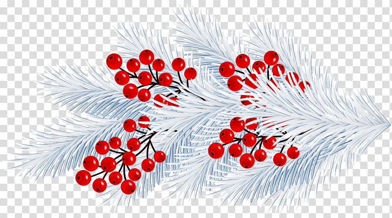Feather, Red, Plant, Tree, Branch, Flower, Holly transparent background PNG clipart