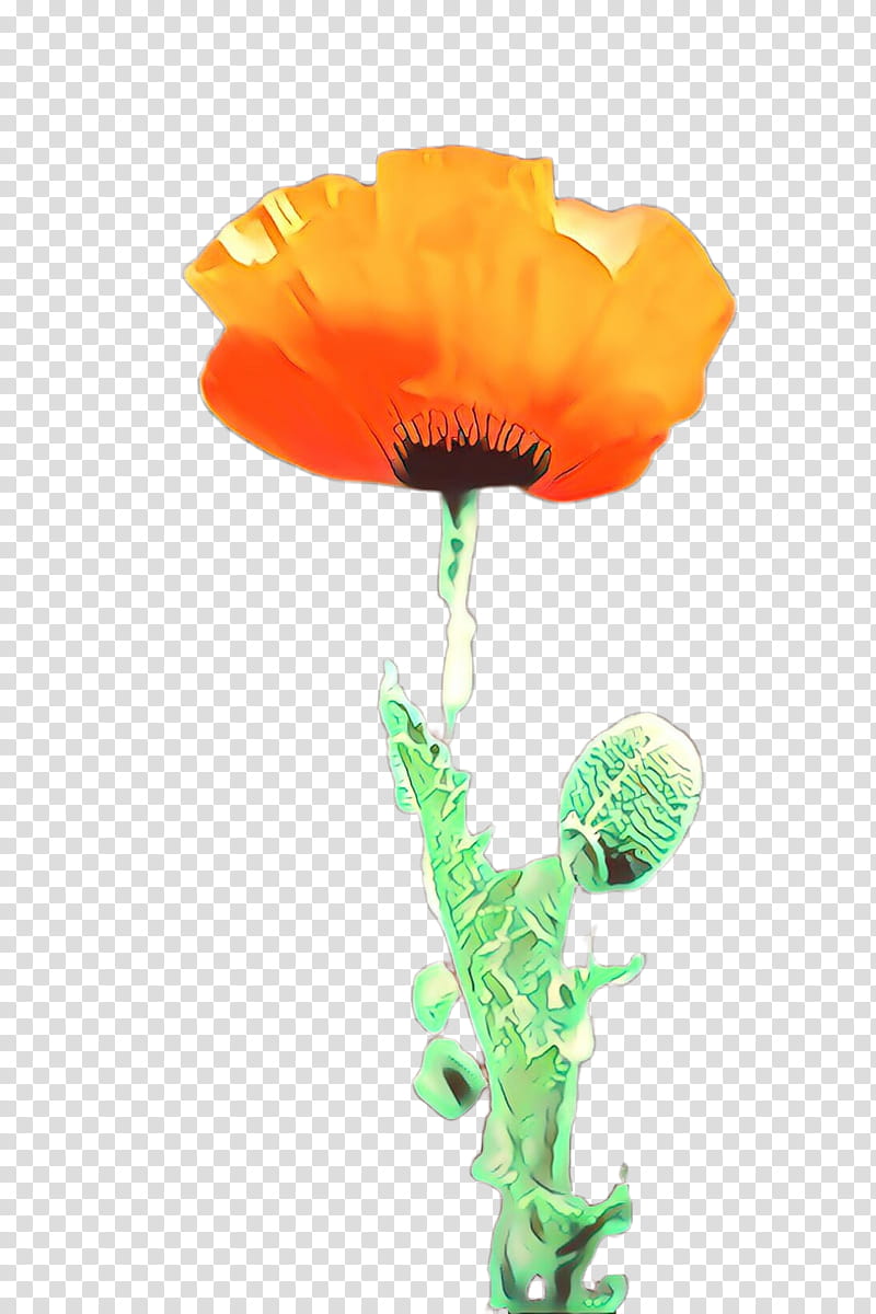 Orange, Cartoon, Flower, Plant, Poppy Family, Oriental Poppy, Coquelicot, Corn Poppy transparent background PNG clipart