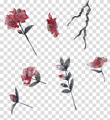 red petaled flowers art transparent background PNG clipart