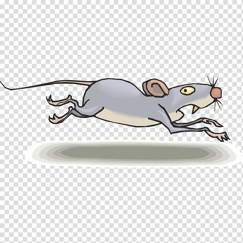 Cat And Dog, Rat, Mus, Drawing, Computer Mouse, Mousetrap, Muroidea, Tail transparent background PNG clipart