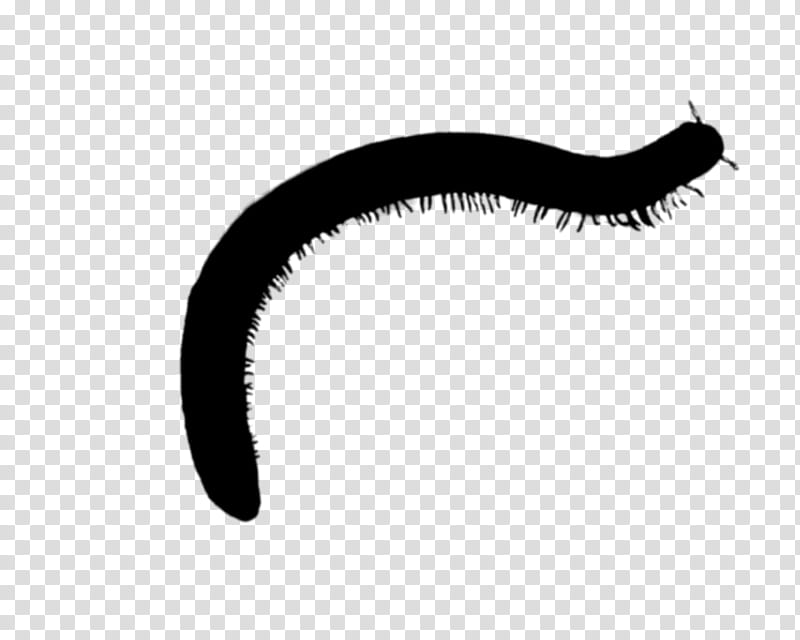 Mouth, Eyelash, Line, Black M, Eyebrow, Nose, Millipedes, Blackandwhite transparent background PNG clipart