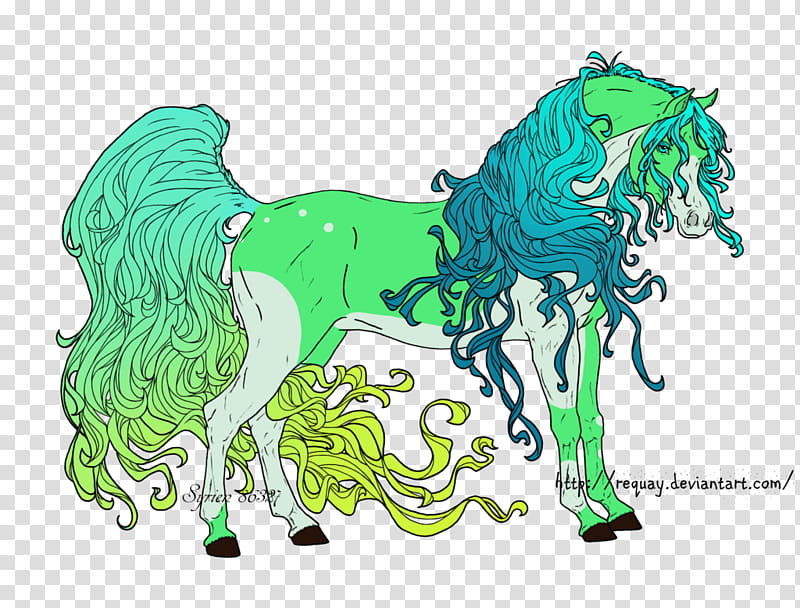 Curly Haired Horse transparent background PNG clipart