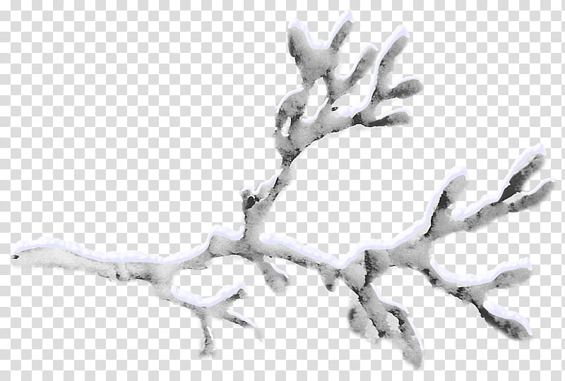 Tree Trunk Drawing, Branch, Snow, Twig, Wood, Snowflake, Rama Navami, Winter transparent background PNG clipart