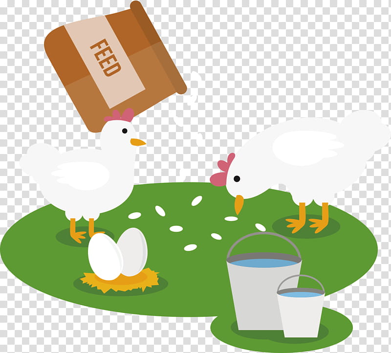 Animal, Chicken, Agriculture, Animal Feed, Animal Husbandry, Farm, Poultry Feed, Live transparent background PNG clipart