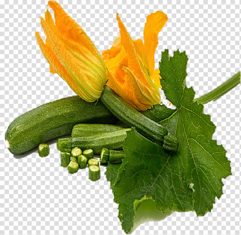 plant vegetable flower zucchini food, Summer Squash, Ingredient transparent background PNG clipart