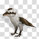 Spore creature Laughing Kookaburra transparent background PNG clipart