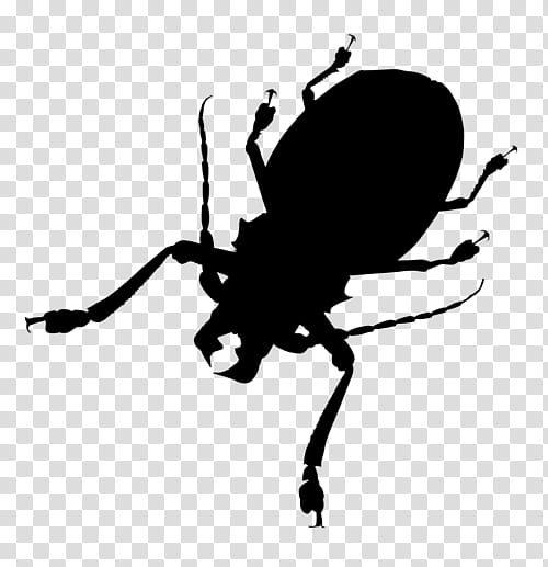 Leaf Silhouette, Weevil, Insect, Line, Membrane, Household, Scarab, Beetle transparent background PNG clipart