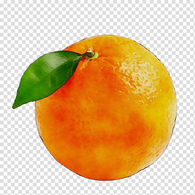 Lemon, Clementine, Mandarin Orange, Tangerine, Grapefruit, Tangelo, Food, Rangpur transparent background PNG clipart