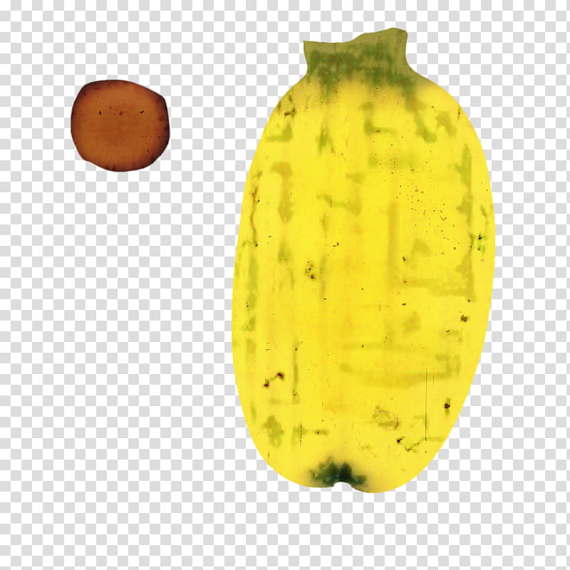 Cactus, Yellow, Fruit, Leaf, Plant transparent background PNG clipart