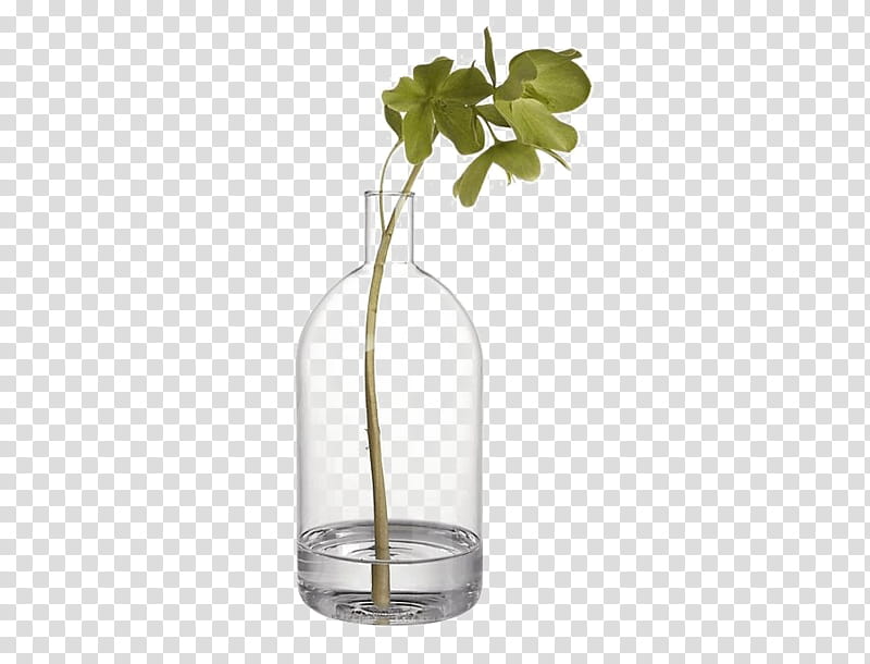 Doctor, Vase, Glass, Gardenista, Flower Vases, Vase Glass, Vase By Alison Gibb 9781909443945 Paperback, Milk Glass transparent background PNG clipart